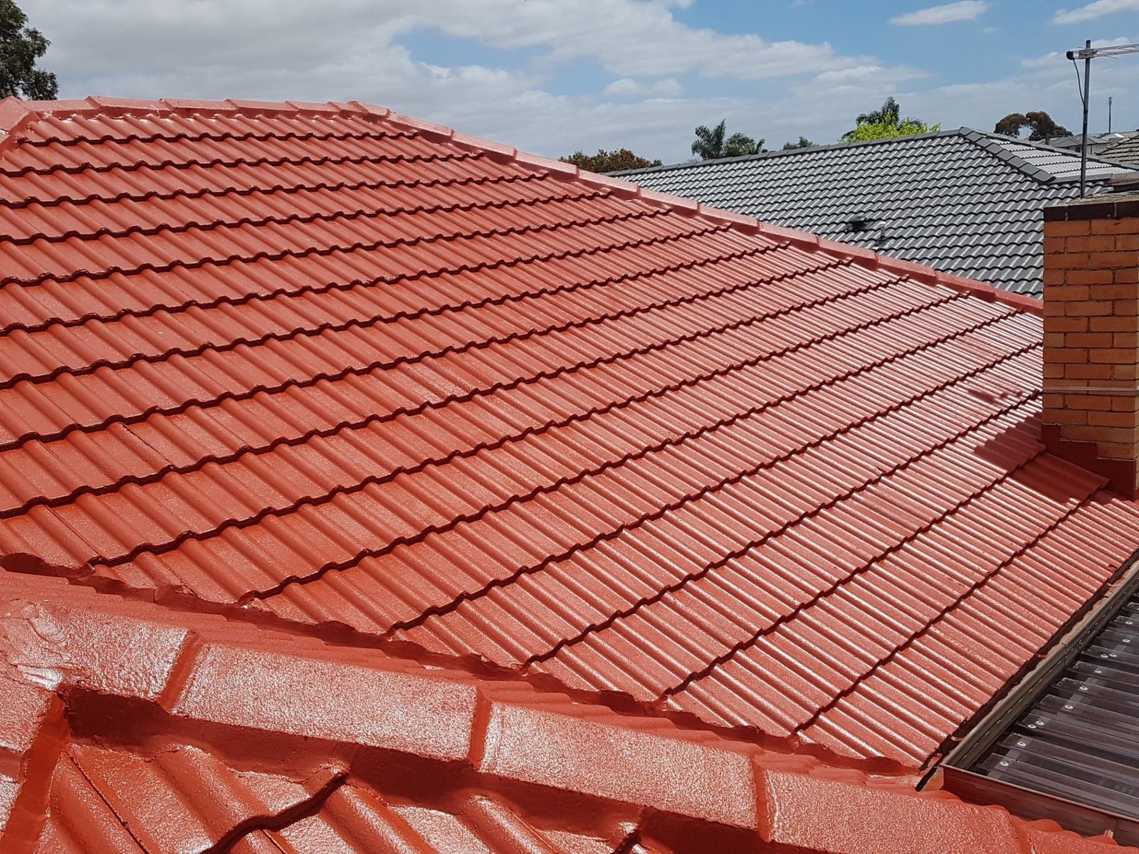 Roof Painting