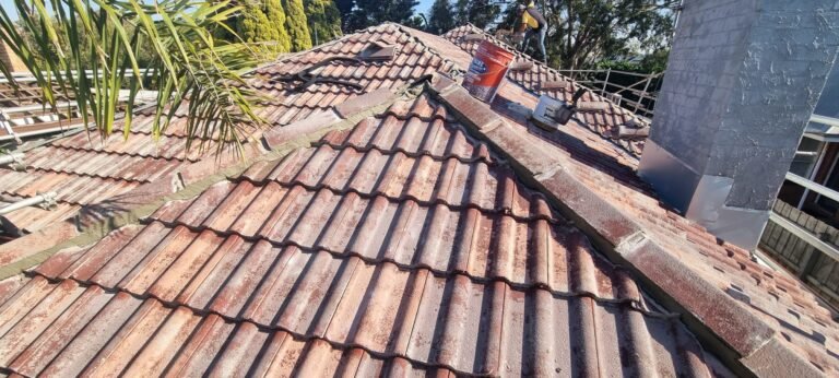 roof painting before