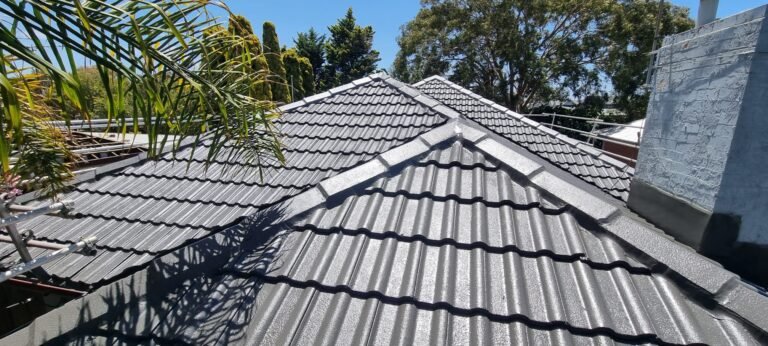 roof painting after