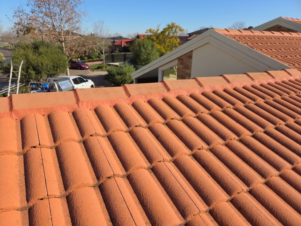 Repointed ridge line along a tiled roof in Hillside