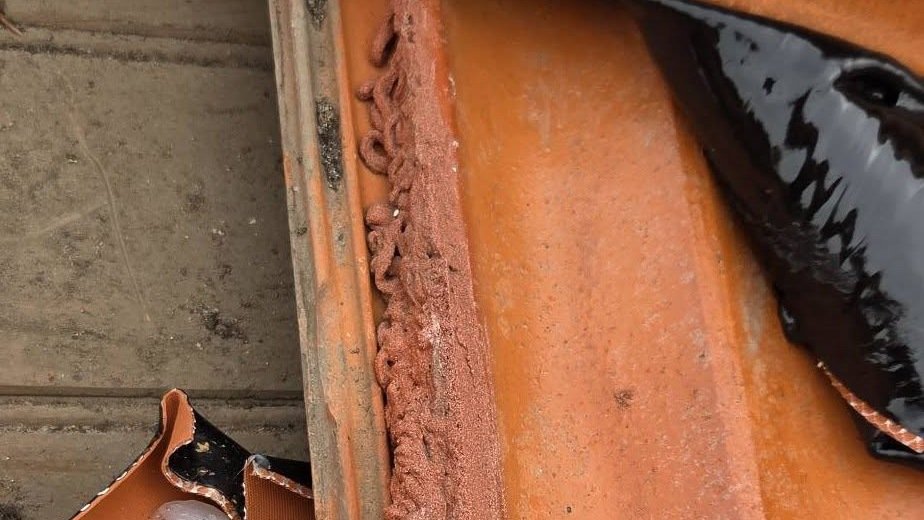 Worn ridge bedding on a terracotta tile beside black membrane during roof leak repairs in Essendon